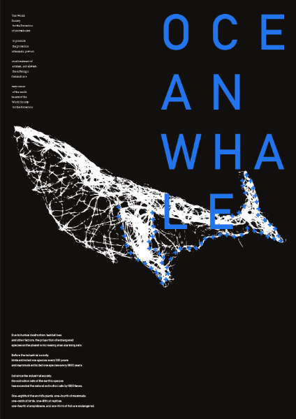 0816110279 赵蕾.jpg